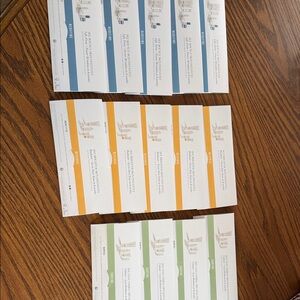 Assorted Skincare Sample Pack - Rodan and Fields